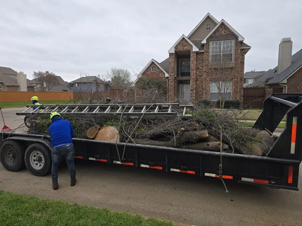 Expert Lot Clearing with proper safety equipment in Monee